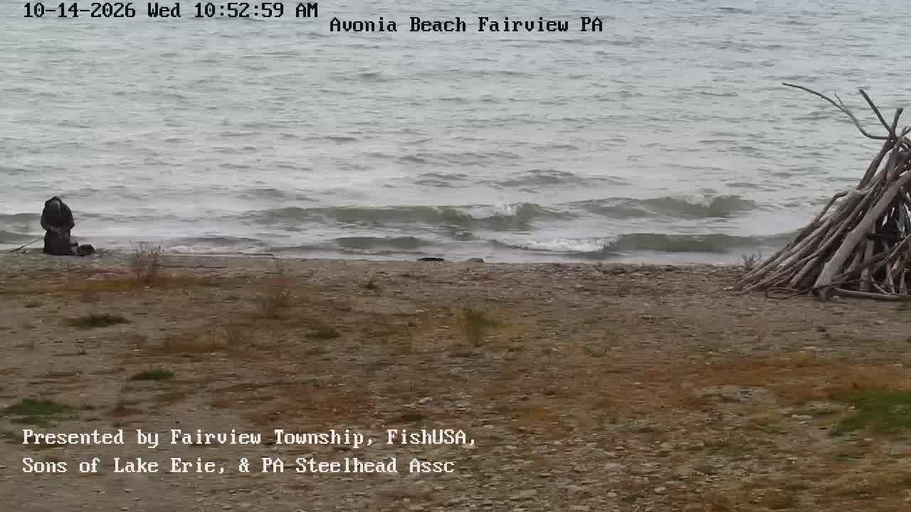 Avonia Beach at the mouth of Trout Run, frame from the morning of October 14, 2026