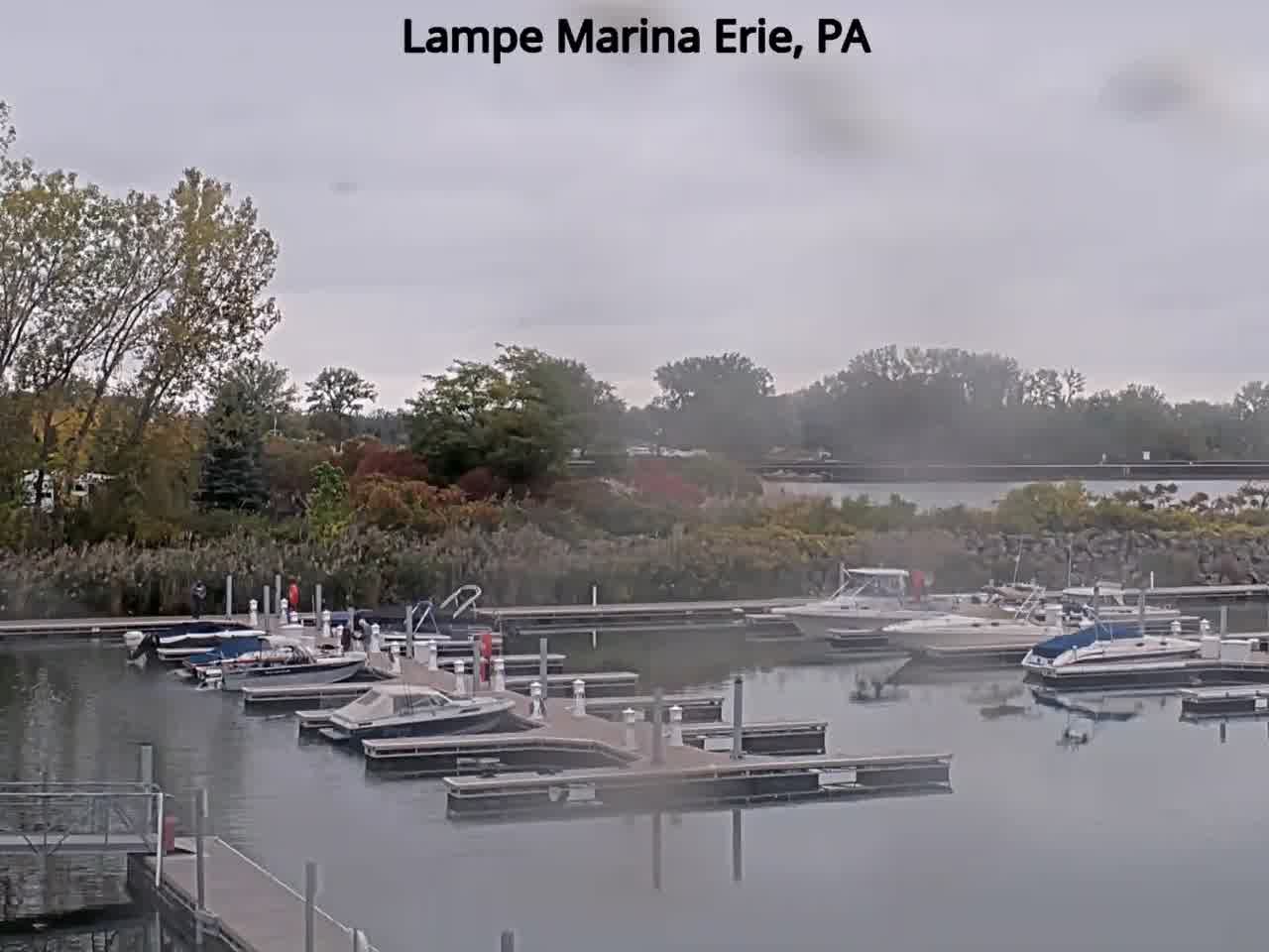 Lampe Marina in Erie harbor, frame from the morning of October 14, 2026
