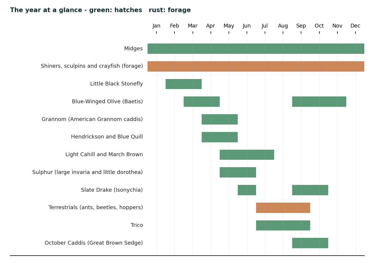 Deer Creek — the year at a glance: hatch and forage chart from the deep-dive guide